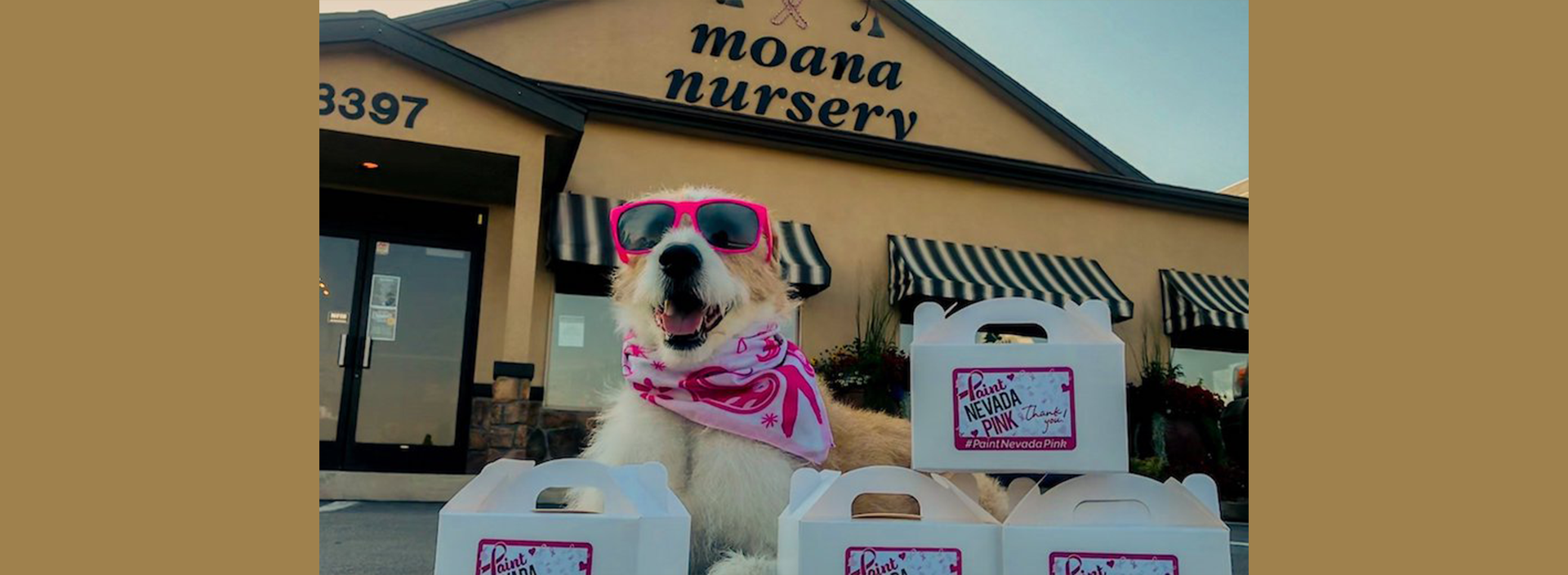 Sunglassed dog in front of Moana Nursery