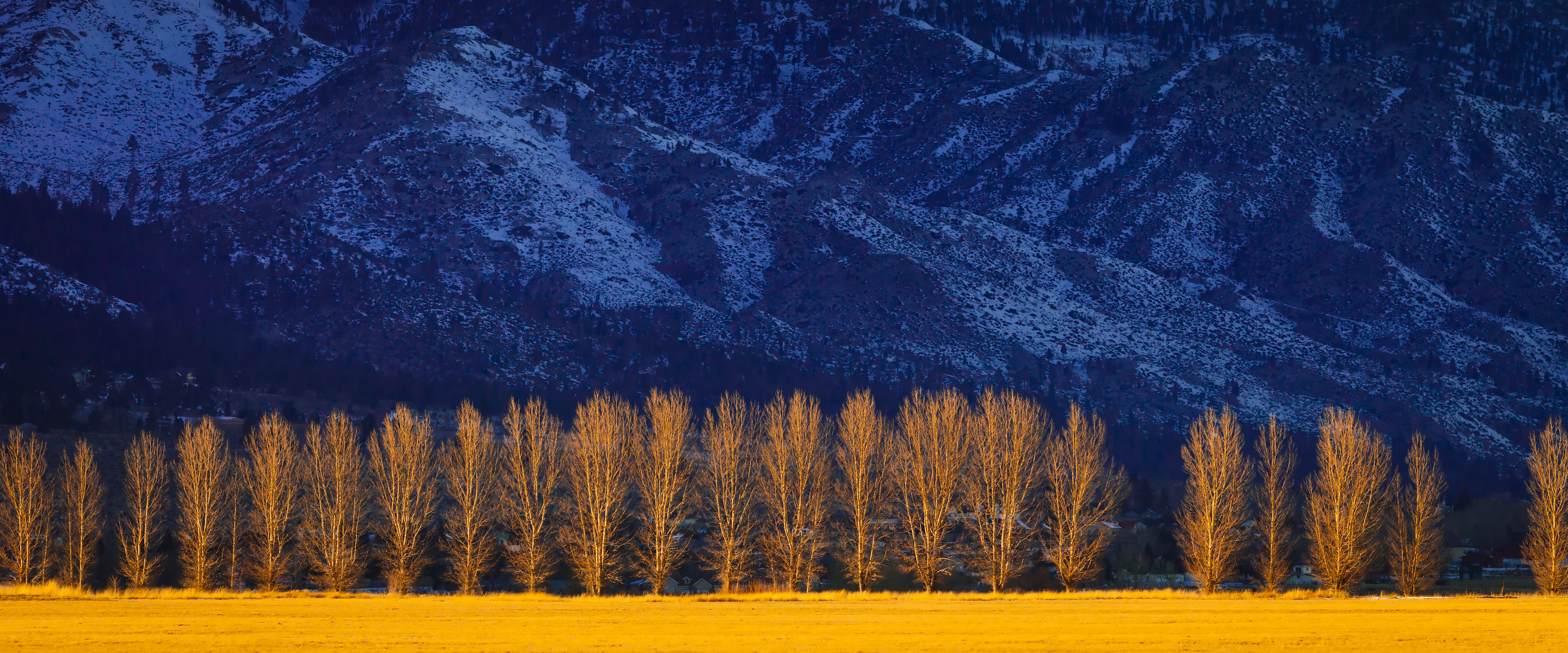 Image of trees and mountains in Douglas County