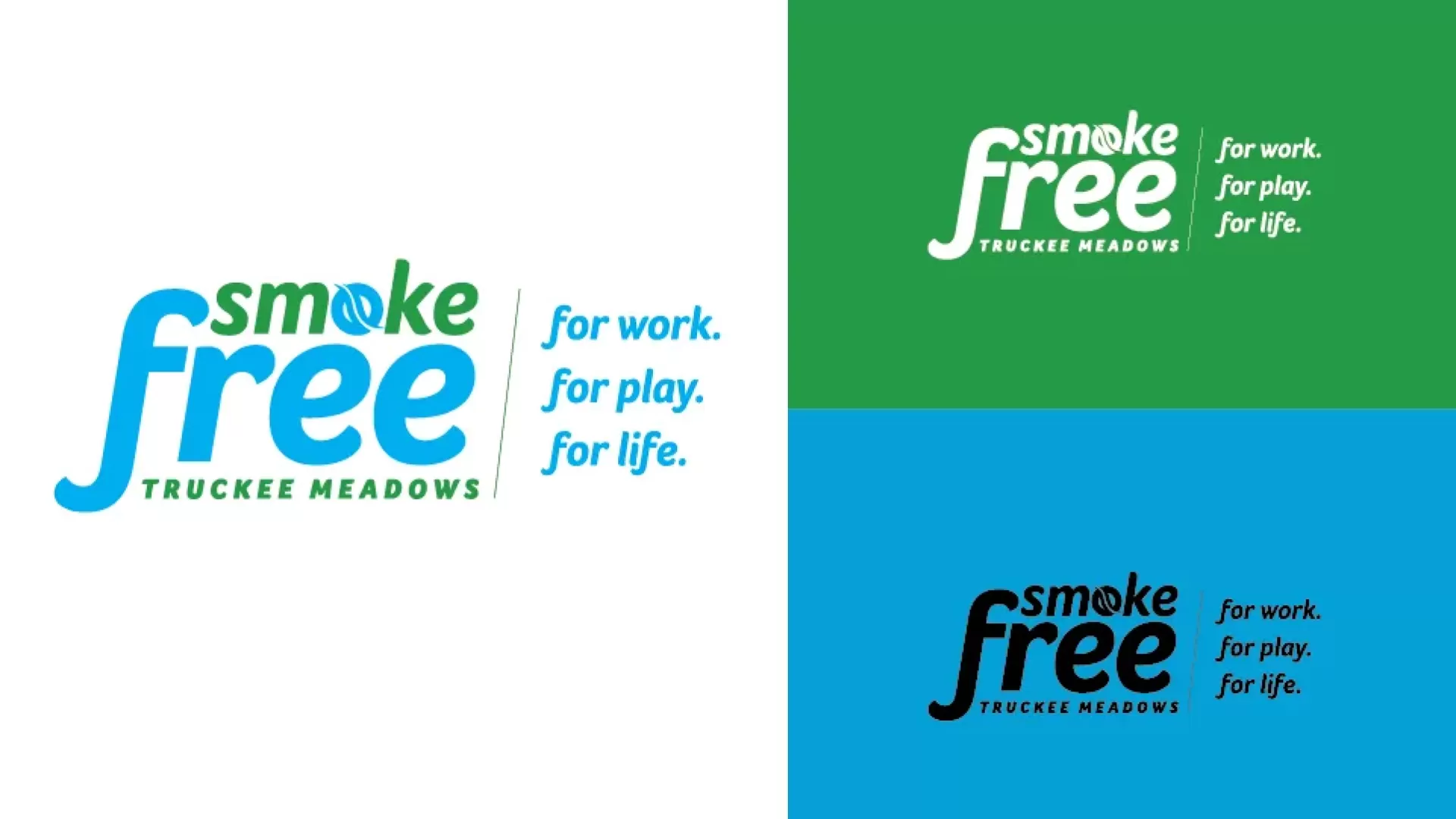 Smoke Free Truckee Meadows logo mockup on white, green and blue background